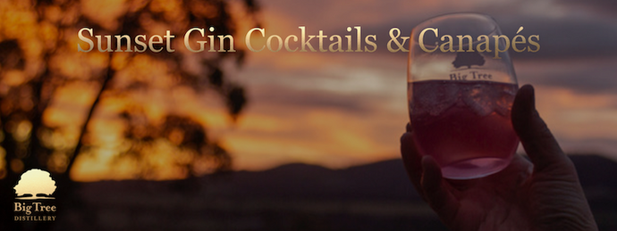 Sunset Gin Cocktails & Canapés