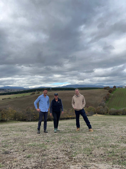 Sloe Berry Gin 700ml - 2025 Release