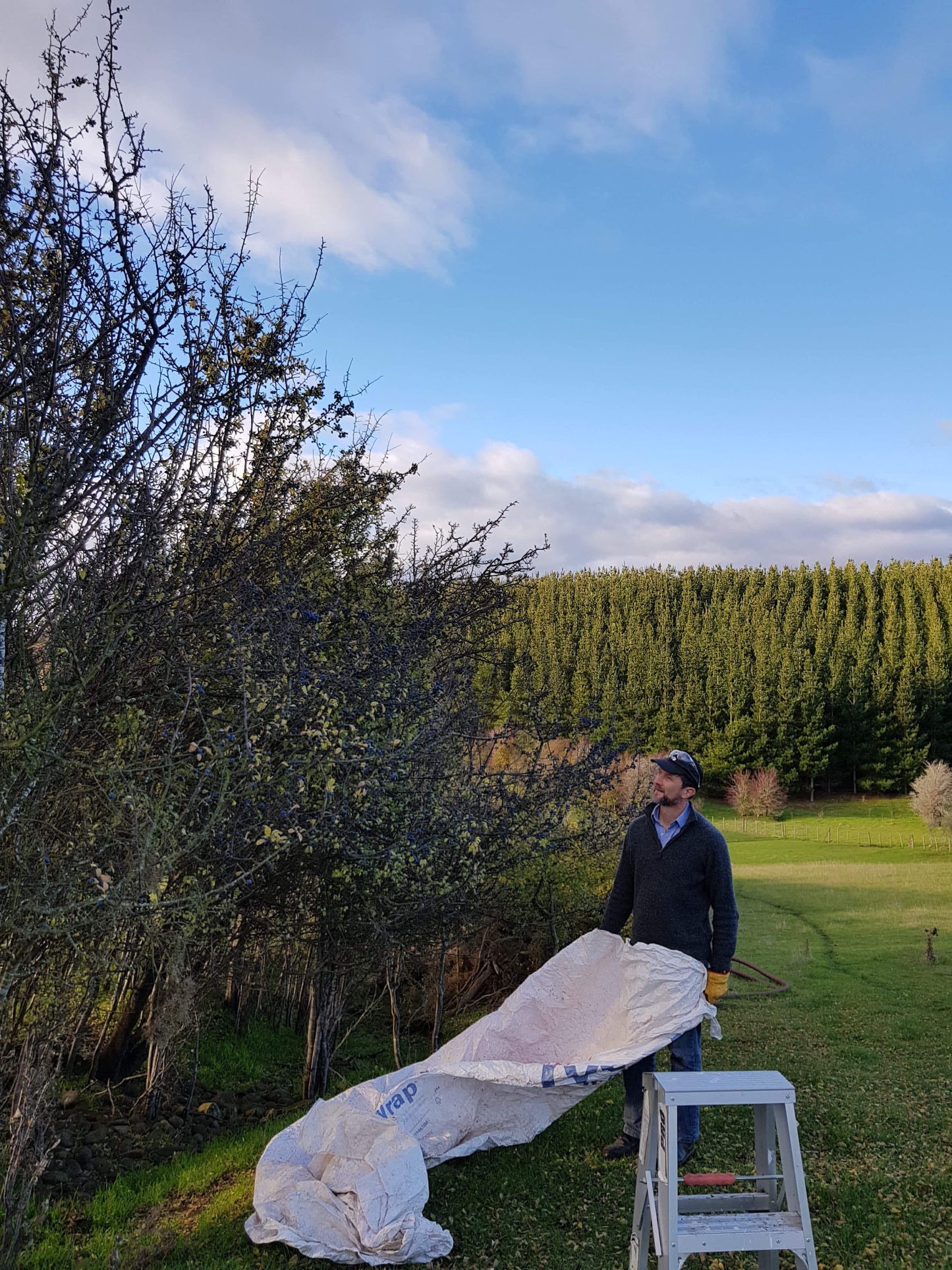 Sloe Berry Gin 700ml - 2025 Release