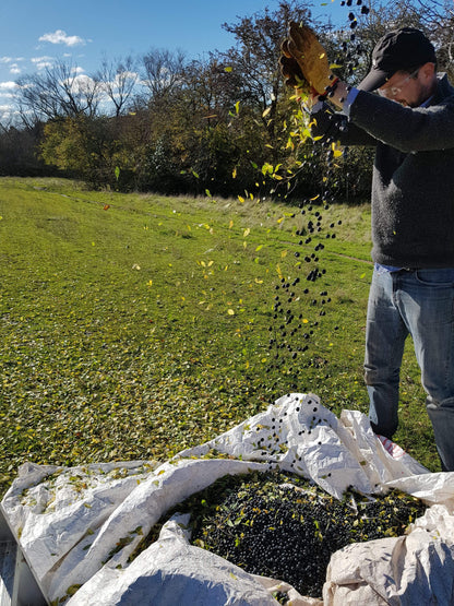 Sloe Berry Gin 700ml - 2025 Release